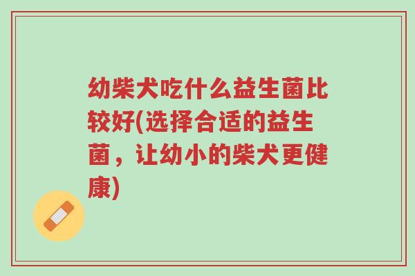 幼柴犬吃什么益生菌比较好(选择合适的益生菌,让幼小的柴犬更健康)-第1张图片-超越 幼柴犬吃什么益生菌比较好(选择合适的益生菌,让幼小的柴犬更健康)-第1张图片-超越