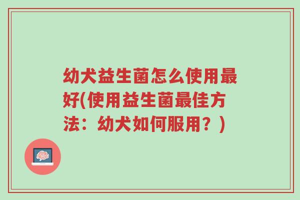幼犬益生菌怎么使用最好(使用益生菌最佳方法:幼犬如何服用?)-第1张图片-超越 幼犬益生菌怎么使用最好(使用益生菌最佳方法:幼犬如何服用?)-第1张图片-超越