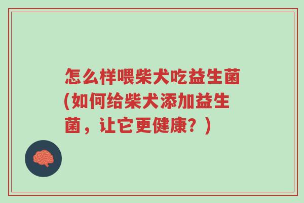 怎么样喂柴犬吃益生菌(如何给柴犬添加益生菌,让它更健康?)-第1张图片-超越 怎么样喂柴犬吃益生菌(如何给柴犬添加益生菌,让它更健康?)-第1张图片-超越