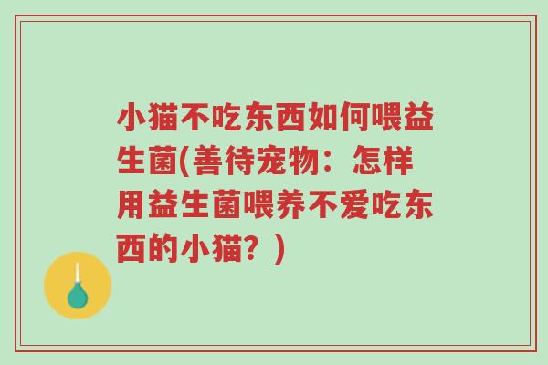 小猫不吃东西如何喂益生菌(善待宠物:怎样用益生菌喂养不爱吃东西的小猫?)-第1张图片-超越 小猫不吃东西如何喂益生菌(善待宠物:怎样用益生菌喂养不爱吃东西的小猫?)-第1张图片-超越