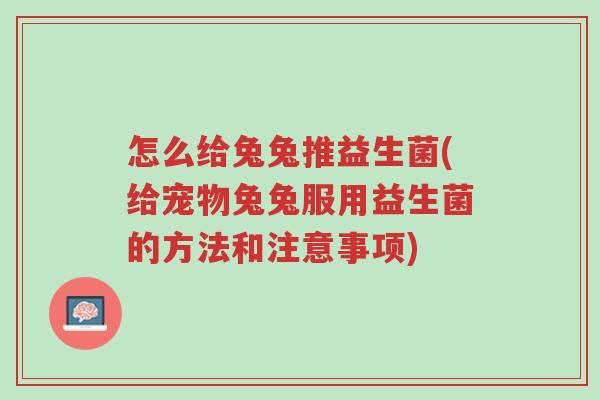 怎么给兔兔推益生菌(给宠物兔兔服用益生菌的方法和注意事项)-第1张图片-超越 怎么给兔兔推益生菌(给宠物兔兔服用益生菌的方法和注意事项)-第1张图片-超越