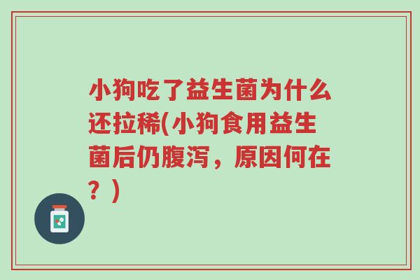 小狗吃了益生菌为什么还拉稀(小狗食用益生菌后仍腹泻,原因何在?)-第1张图片-超越 小狗吃了益生菌为什么还拉稀(小狗食用益生菌后仍腹泻,原因何在?)-第1张图片-超越