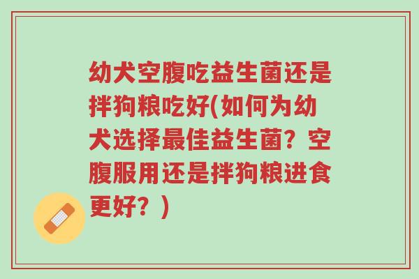 幼犬空腹吃益生菌还是拌狗粮吃好(如何为幼犬选择最佳益生菌?空腹服用还是拌狗粮进食更好?)-第1张图片-超越 幼犬空腹吃益生菌还是拌狗粮吃好(如何为幼犬选择最佳益生菌?空腹服用还是拌狗粮进食更好?)-第1张图片-超越