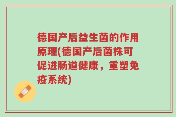 德国产后益生菌的作用原理(德国产后菌株可促进肠道健康，重塑免疫系统)-第1张图片-超越