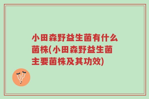 小田森野益生菌有什么菌株(小田森野益生菌主要菌株及其功效)-第1张图片-超越 小田森野益生菌有什么菌株(小田森野益生菌主要菌株及其功效)-第1张图片-超越