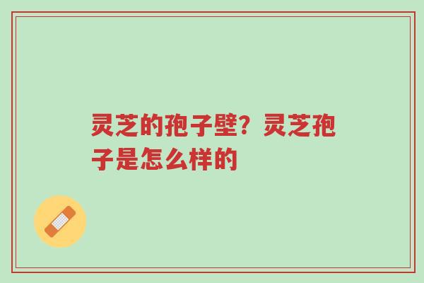 灵芝的孢子壁?灵芝孢子是怎么样的-第1张图片-超越 灵芝的孢子壁?灵芝孢子是怎么样的-第1张图片-超越