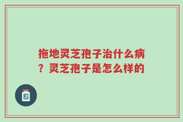 拖地灵芝孢子治什么病?灵芝孢子是怎么样的-第1张图片-超越 拖地灵芝孢子治什么病?灵芝孢子是怎么样的-第1张图片-超越