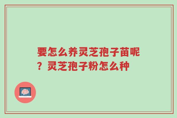 要怎么养灵芝孢子苗呢?灵芝孢子粉怎么种-第1张图片-超越 要怎么养灵芝孢子苗呢?灵芝孢子粉怎么种-第1张图片-超越