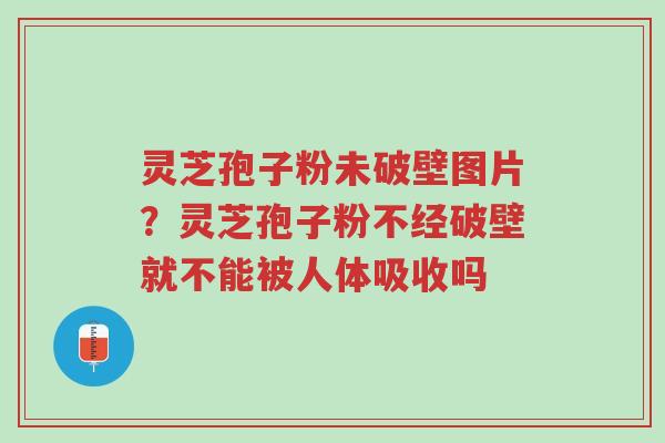 灵芝孢子粉未破壁图片?灵芝孢子粉不经破壁就不能被人体吸收吗-第1张图片-超越 灵芝孢子粉未破壁图片?灵芝孢子粉不经破壁就不能被人体吸收吗-第1张图片-超越