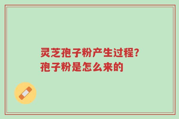 灵芝孢子粉产生过程?孢子粉是怎么来的-第1张图片-超越 灵芝孢子粉产生过程?孢子粉是怎么来的-第1张图片-超越