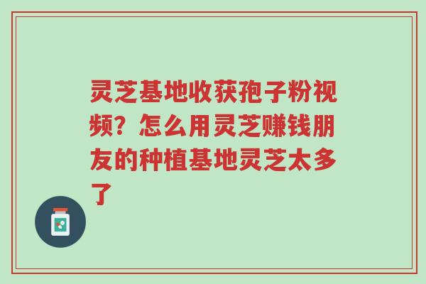 灵芝基地收获孢子粉视频?怎么用灵芝赚钱朋友的种植基地灵芝太多了-第1张图片-超越 灵芝基地收获孢子粉视频?怎么用灵芝赚钱朋友的种植基地灵芝太多了-第1张图片-超越