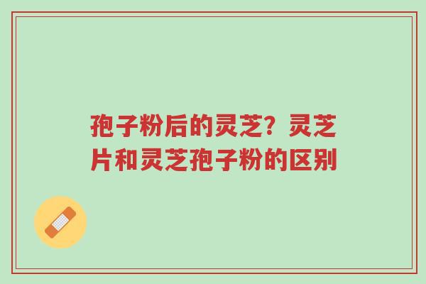 孢子粉后的灵芝?灵芝片和灵芝孢子粉的区别-第1张图片-超越 孢子粉后的灵芝?灵芝片和灵芝孢子粉的区别-第1张图片-超越