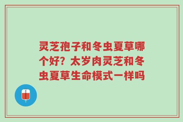 灵芝孢子和冬虫夏草哪个好?太岁肉灵芝和冬虫夏草生命模式一样吗-第1张图片-超越 灵芝孢子和冬虫夏草哪个好?太岁肉灵芝和冬虫夏草生命模式一样吗-第1张图片-超越
