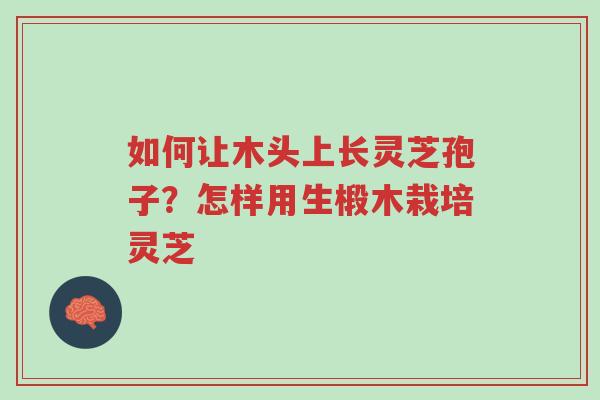 如何让木头上长灵芝孢子?怎样用生椴木栽培灵芝-第1张图片-超越 如何让木头上长灵芝孢子?怎样用生椴木栽培灵芝-第1张图片-超越