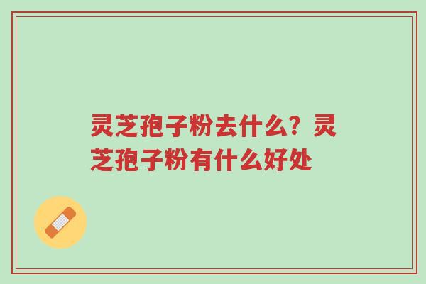 灵芝孢子粉去什么?灵芝孢子粉有什么好处-第1张图片-超越 灵芝孢子粉去什么?灵芝孢子粉有什么好处-第1张图片-超越
