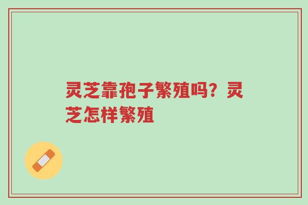 灵芝靠孢子繁殖吗?灵芝怎样繁殖-第1张图片-超越 灵芝靠孢子繁殖吗?灵芝怎样繁殖-第1张图片-超越