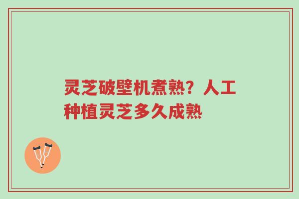 灵芝破壁机煮熟？人工种植灵芝多久成熟-第1张图片-超越