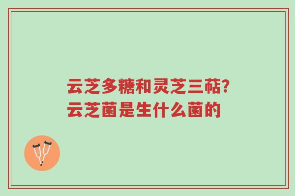 云芝多糖和灵芝三萜?云芝菌是生什么菌的-第1张图片-超越 云芝多糖和灵芝三萜?云芝菌是生什么菌的-第1张图片-超越