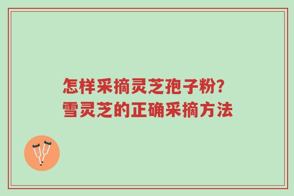 怎样采摘灵芝孢子粉?雪灵芝的正确采摘方法-第1张图片-超越 怎样采摘灵芝孢子粉?雪灵芝的正确采摘方法-第1张图片-超越