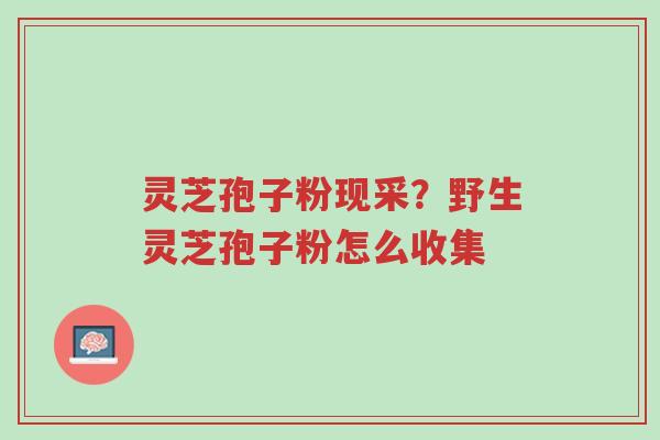 灵芝孢子粉现采?野生灵芝孢子粉怎么收集-第1张图片-超越 灵芝孢子粉现采?野生灵芝孢子粉怎么收集-第1张图片-超越