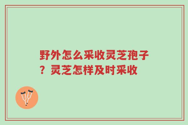 野外怎么采收灵芝孢子？灵芝怎样及时采收-第1张图片-超越
