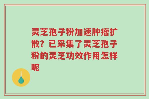 灵芝孢子粉加速肿瘤扩散?已采集了灵芝孢子粉的灵芝功效作用怎样呢-第1张图片-超越 灵芝孢子粉加速肿瘤扩散?已采集了灵芝孢子粉的灵芝功效作用怎样呢-第1张图片-超越