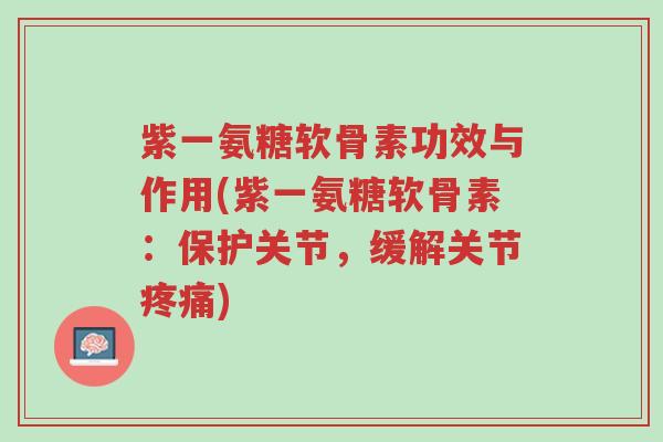 紫一氨糖软骨素功效与作用(紫一氨糖软骨素:保护关节,缓解关节疼痛)-第1张图片-超越 紫一氨糖软骨素功效与作用(紫一氨糖软骨素:保护关节,缓解关节疼痛)-第1张图片-超越