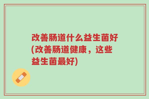 改善肠道什么益生菌好(改善肠道健康,这些益生菌最好)-第1张图片-超越 改善肠道什么益生菌好(改善肠道健康,这些益生菌最好)-第1张图片-超越