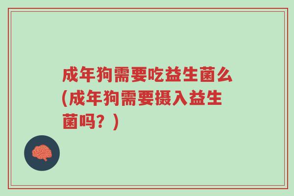 成年狗需要吃益生菌么(成年狗需要摄入益生菌吗?)-第1张图片-超越 成年狗需要吃益生菌么(成年狗需要摄入益生菌吗?)-第1张图片-超越
