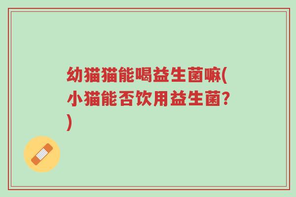 幼猫猫能喝益生菌嘛(小猫能否饮用益生菌?)-第1张图片-超越 幼猫猫能喝益生菌嘛(小猫能否饮用益生菌?)-第1张图片-超越