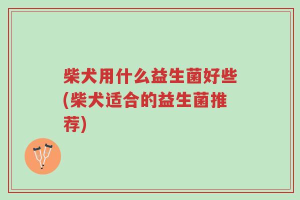 柴犬用什么益生菌好些(柴犬适合的益生菌推荐)-第1张图片-超越 柴犬用什么益生菌好些(柴犬适合的益生菌推荐)-第1张图片-超越