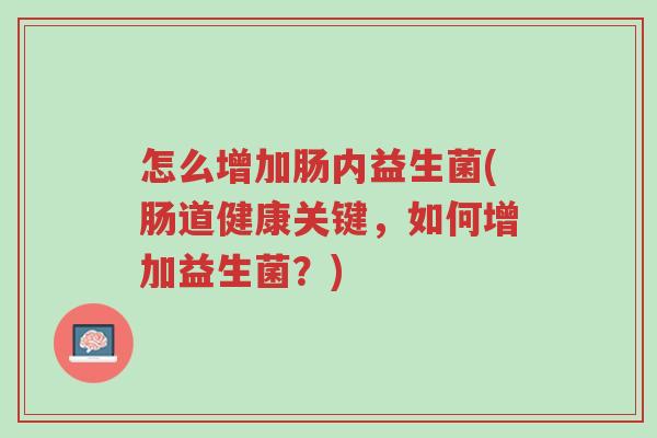 怎么增加肠内益生菌(肠道健康关键,如何增加益生菌?)-第1张图片-超越 怎么增加肠内益生菌(肠道健康关键,如何增加益生菌?)-第1张图片-超越