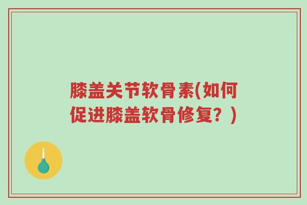 膝盖关节软骨素(如何促进膝盖软骨修复?)-第1张图片-超越 膝盖关节软骨素(如何促进膝盖软骨修复?)-第1张图片-超越