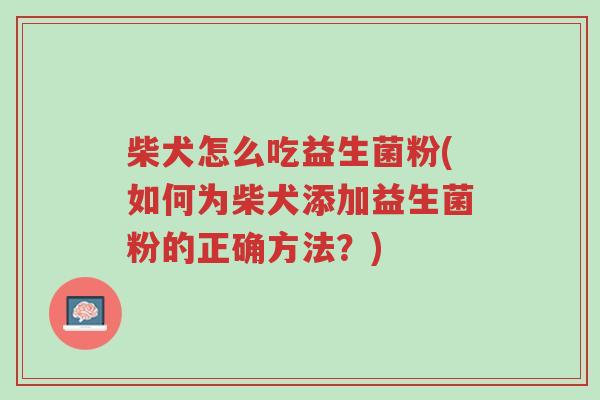 柴犬怎么吃益生菌粉(如何为柴犬添加益生菌粉的正确方法?)-第1张图片-超越 柴犬怎么吃益生菌粉(如何为柴犬添加益生菌粉的正确方法?)-第1张图片-超越