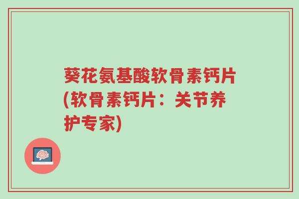 葵花氨基酸软骨素钙片(软骨素钙片:关节养护专家)-第1张图片-超越 葵花氨基酸软骨素钙片(软骨素钙片:关节养护专家)-第1张图片-超越