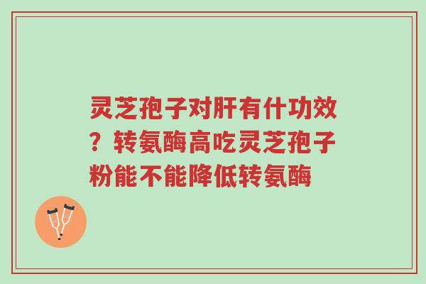 灵芝孢子对肝有什功效?转氨酶高吃灵芝孢子粉能不能降低转氨酶-第1张图片-超越 灵芝孢子对肝有什功效?转氨酶高吃灵芝孢子粉能不能降低转氨酶-第1张图片-超越