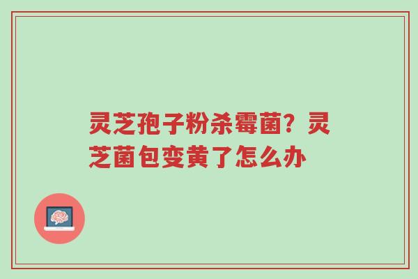 灵芝孢子粉杀霉菌?灵芝菌包变黄了怎么办-第1张图片-超越 灵芝孢子粉杀霉菌?灵芝菌包变黄了怎么办-第1张图片-超越