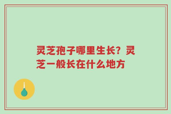 灵芝孢子哪里生长?灵芝一般长在什么地方-第1张图片-超越 灵芝孢子哪里生长?灵芝一般长在什么地方-第1张图片-超越