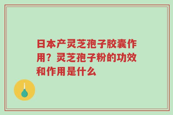 日本产灵芝孢子胶囊作用？灵芝孢子粉的功效和作用是什么-第1张图片-超越