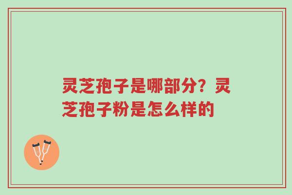 灵芝孢子是哪部分?灵芝孢子粉是怎么样的-第1张图片-超越 灵芝孢子是哪部分?灵芝孢子粉是怎么样的-第1张图片-超越