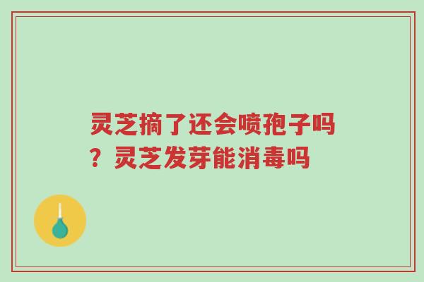 灵芝摘了还会喷孢子吗?灵芝发芽能消毒吗-第1张图片-超越 灵芝摘了还会喷孢子吗?灵芝发芽能消毒吗-第1张图片-超越