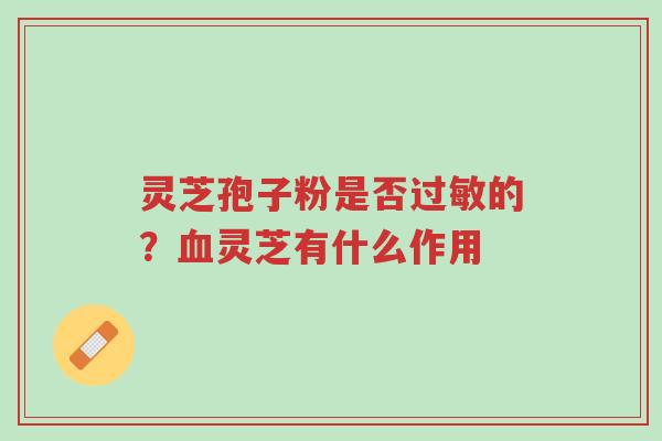 灵芝孢子粉是否过敏的？血灵芝有什么作用-第1张图片-超越