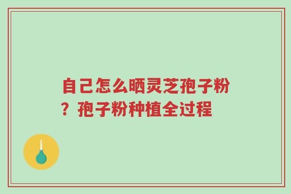 自己怎么晒灵芝孢子粉?孢子粉种植全过程-第1张图片-超越 自己怎么晒灵芝孢子粉?孢子粉种植全过程-第1张图片-超越