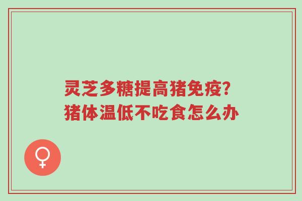灵芝多糖提高猪免疫?猪体温低不吃食怎么办-第1张图片-超越 灵芝多糖提高猪免疫?猪体温低不吃食怎么办-第1张图片-超越
