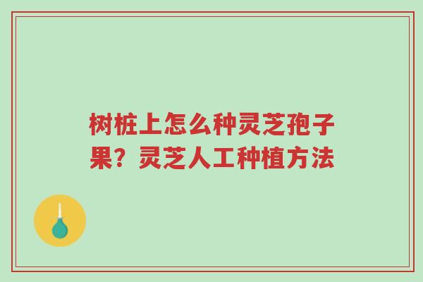 树桩上怎么种灵芝孢子果?灵芝人工种植方法-第1张图片-超越 树桩上怎么种灵芝孢子果?灵芝人工种植方法-第1张图片-超越