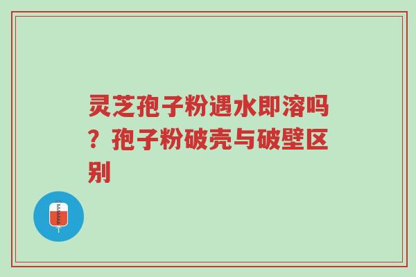 灵芝孢子粉遇水即溶吗?孢子粉破壳与破壁区别-第1张图片-超越 灵芝孢子粉遇水即溶吗?孢子粉破壳与破壁区别-第1张图片-超越