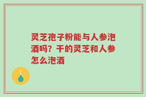 灵芝孢子粉能与人参泡酒吗?干的灵芝和人参怎么泡酒-第1张图片-超越 灵芝孢子粉能与人参泡酒吗?干的灵芝和人参怎么泡酒-第1张图片-超越