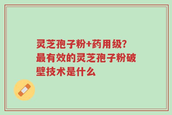灵芝孢子粉+药用级?最有效的灵芝孢子粉破壁技术是什么-第1张图片-超越 灵芝孢子粉+药用级?最有效的灵芝孢子粉破壁技术是什么-第1张图片-超越