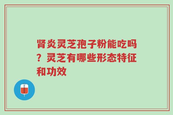 肾炎灵芝孢子粉能吃吗?灵芝有哪些形态特征和功效-第1张图片-超越 肾炎灵芝孢子粉能吃吗?灵芝有哪些形态特征和功效-第1张图片-超越