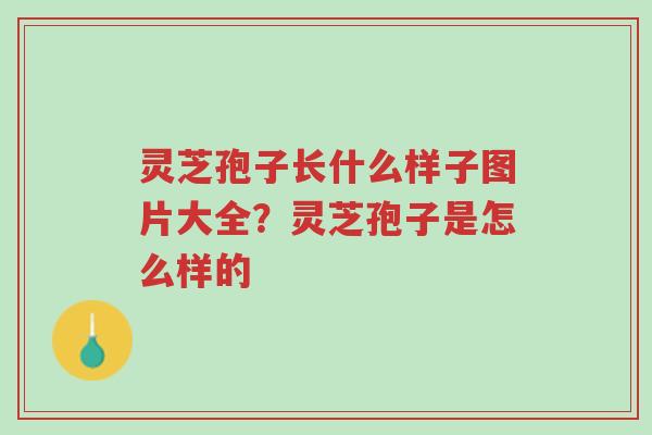 灵芝孢子长什么样子图片大全?灵芝孢子是怎么样的-第1张图片-超越 灵芝孢子长什么样子图片大全?灵芝孢子是怎么样的-第1张图片-超越